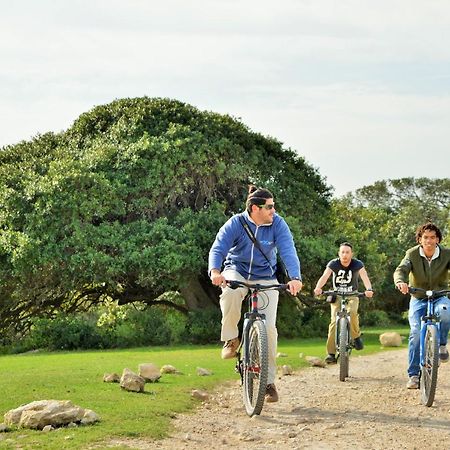 De Hoop Collection - Campsite Rondawels De Hoop Nature Reserve Zewnętrze zdjęcie