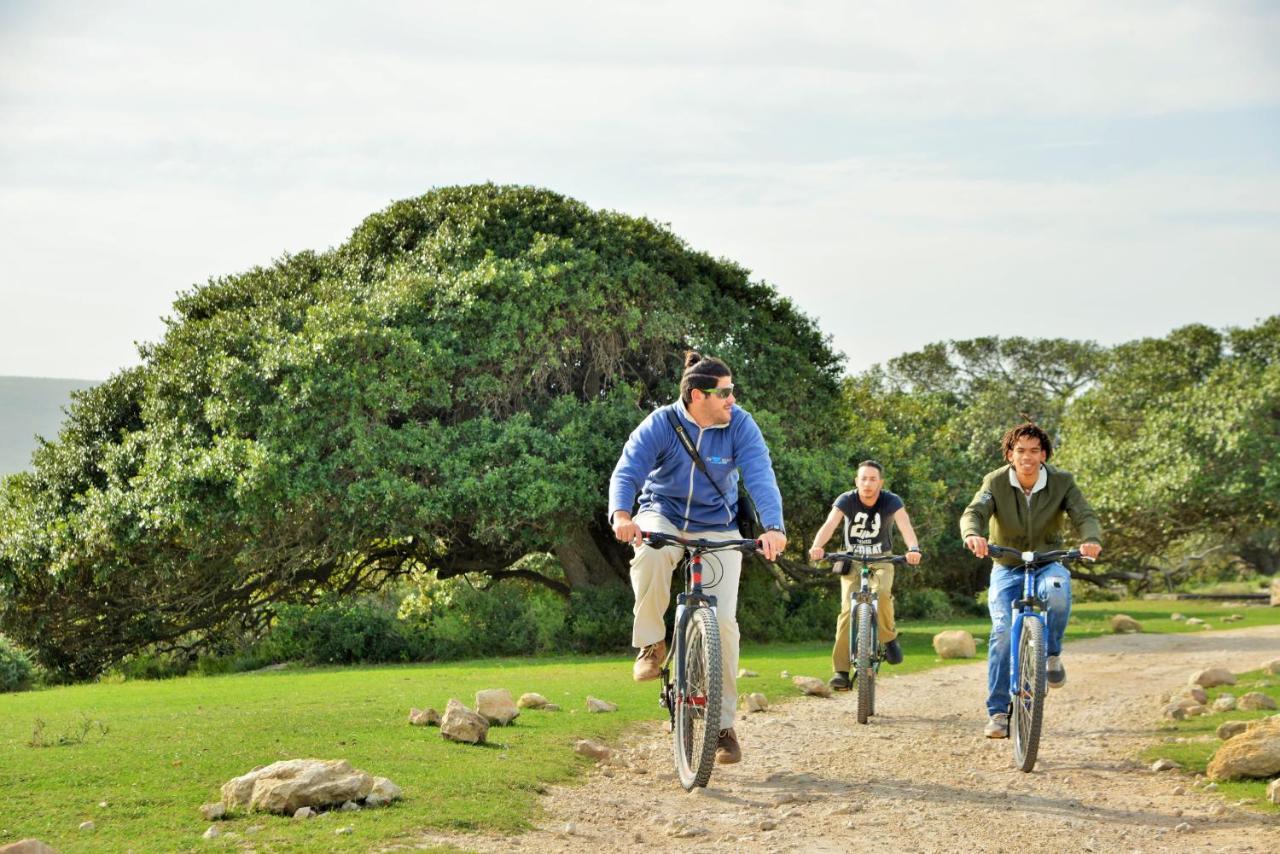 De Hoop Collection - Campsite Rondawels De Hoop Nature Reserve Zewnętrze zdjęcie